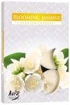 AURA FRAGRANCES CANDLES СВЕЩИ ЧАЕНИ АРОМАТНИ FRESH COTTON 6БР