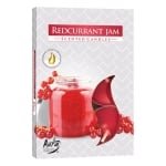 AURA FRAGRANCE CANDLES СВЕЩИ ЧАЕНИ 6БР FIR TREE