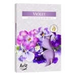 AURA FRAGRANCE CANDLES СВЕЩИ ЧАЕНИ ВИОЛЕТКА 6БР