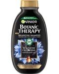 GARNIER BOTANIC THERAPY ШАМПОАН CHARCOAL 400МЛ