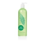 ELIZABETH ARDEN GREEN TEA ЕНЕРГИЗИРАЩ ДУШ ГЕЛ ЗА ЖЕНИ