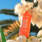 MONTALE HOLY NEROLI ПАРФЮМНА ВОДА УНИСЕКС 100МЛ